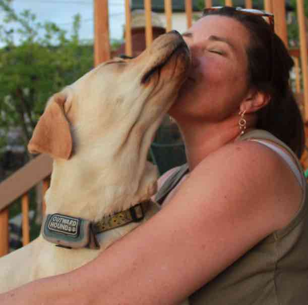 Dog Ear Cleaner Wipes