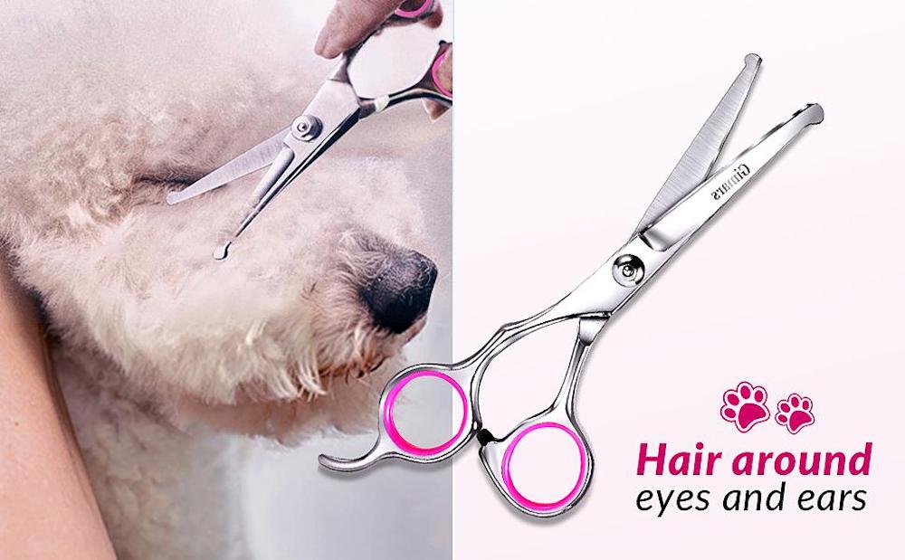 Professional Dog Grooming Scissors Kit: image 7