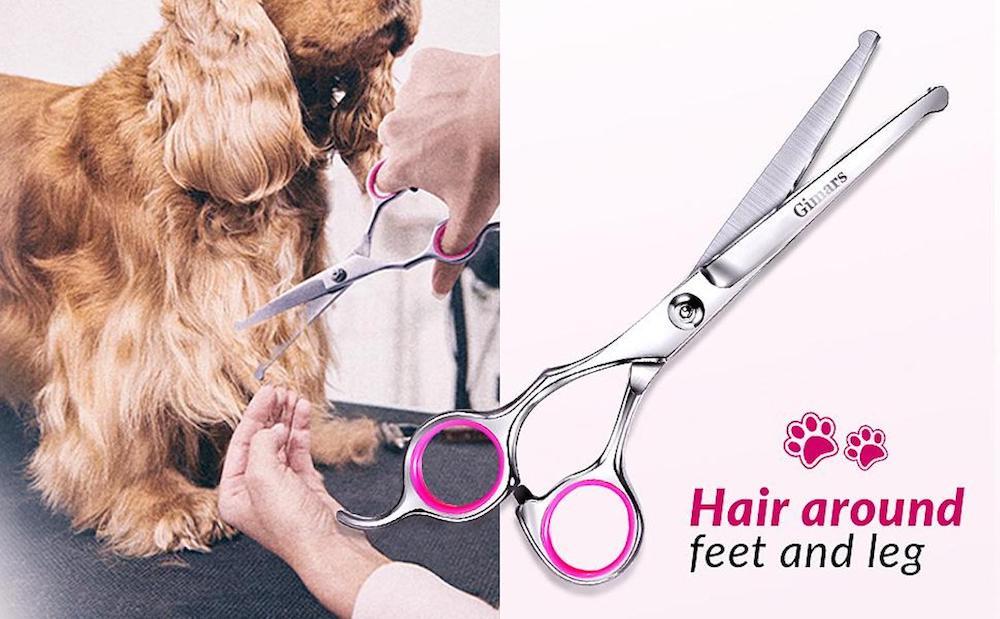 Professional Dog Grooming Scissors Kit: image 9